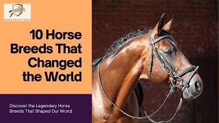 10 Horse Breeds That Changed the World