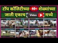 श ळ य च य ज त Bakriyoki Nasal Shelyanchya Jati Goatbreeds Goatfarm Goatbreed