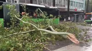 Faciadan dönüldü; Belediye otobüsünün üzerine ağaç düştü