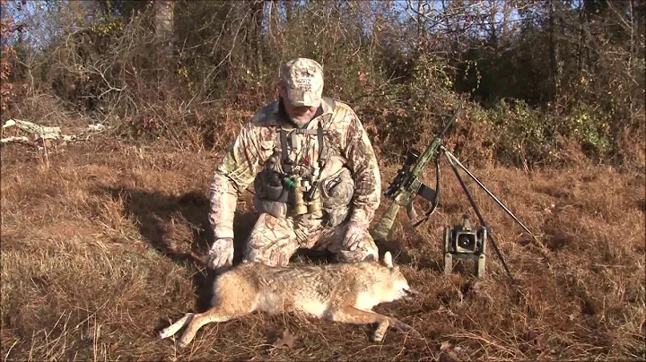 Grady's Solo Hunt