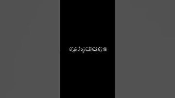 القارئ سعد الغامدي من سورة الأعراف