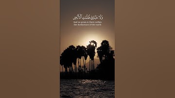 وَمَا تَسۡقُطُ مِن وَرَقَةٍ إِلَّا یَعۡلَمُهَا   القارئ محمد صديق المنشاوي