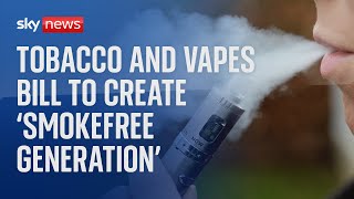 Select Committee considers the Tobacco and Vapes Bill