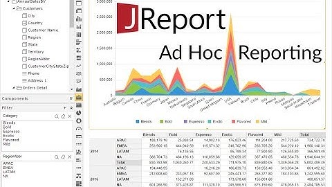 What is Ad Hoc Reporting? | Ad Hoc Reporting