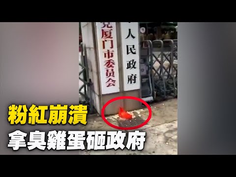 強烈不滿中共沒有做出回應，江西粉紅用雞蛋怒砸廈門市政府。【 #聽紀元 】| #大紀元新聞網