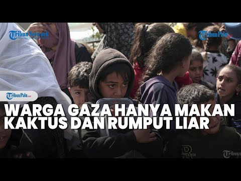 Warga Gaza Makan