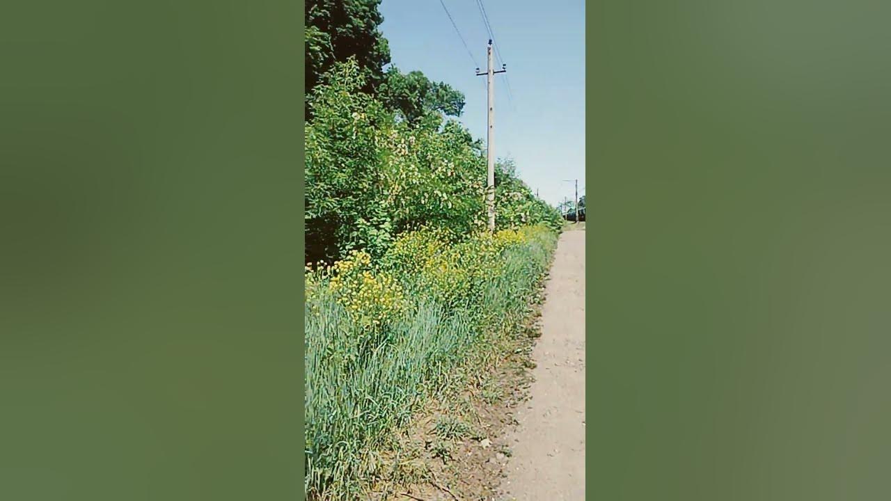 в доль железной дороги - YouTube