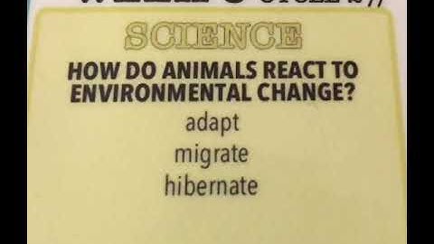 Week 6 science, animals and environmental change