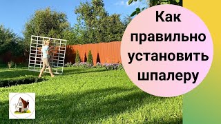 видео: Установка шпалеры для вьющихся растений. картинка: Установка шпалеры для вьющихся растений.