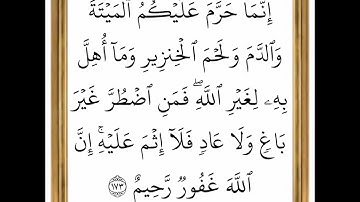 سورة البقرة - من الآية 173 إلى الآية 174 - بصوت القارئ خليفة الطنيجي - رواية حفص عن عاصم