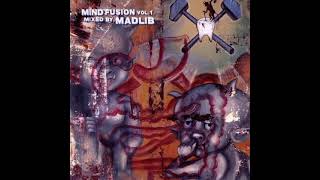 Madlib Mind Fusion Vol.1 Hip-Hop