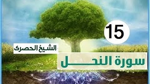 ‏المصحف المعلم الشيخ الحصري  سورة  النحل الجزء الرابع عشر الوجه20