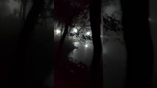#horrorsounds #bhoot #horrorstories #bhootkikahani #shortvideo #edit ☠️👽