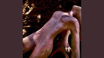 Pawns on their chessboard