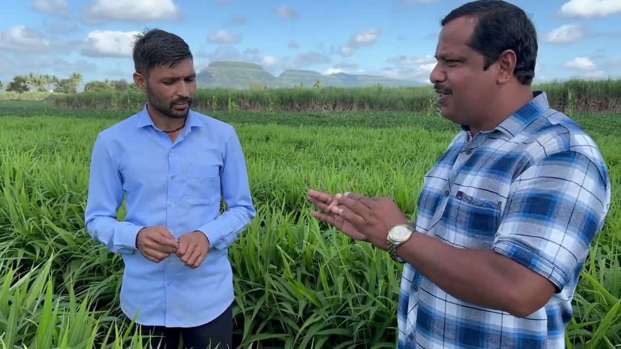 SCTवैदिक वापरले तर गॅरंटी देतो तुम्ही 2रे खत वापरणार नाही राज्यस्तर पुरस्कारप्राप्त शेतकऱ्यांचासल्ला