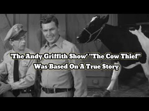 'The Andy Griffith Show' Episode 