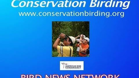 BNN: Conservation Birding