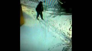 Famous Tim-Snow.MOV Profile