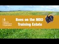 Bees on the mod training estate beesneeds