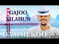 DAMMEKOO Gajoo Xilahun New Ethiopian Oromo Music 2025
