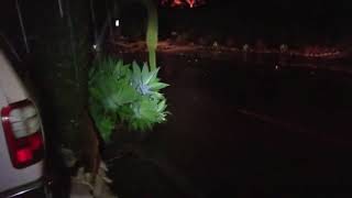 Dramatic video of the California mudslides