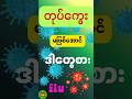 တုပ်ကွေးမဖြစ်အောင်ဒါတွေစားပေးပါ.