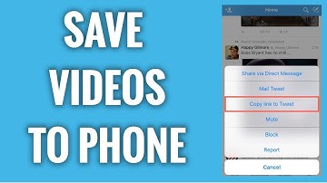 How To Save Twitter Videos To Your Smartphone