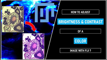 How to adjust Brightness & Contrast of a color image with FIJI ?