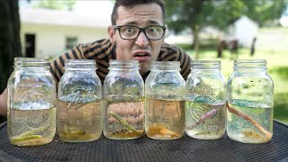 I  Left Plastic Fishing Lures in Water for 4 months!