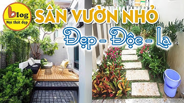 Top 15 mẫu sân vườn nhỏ đẹp đáng để tham khảo cho ngôi nhà của bạn