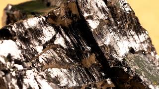 Metamorphic Rock Anthracite and its Thin Section Wealth