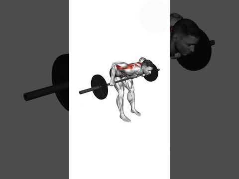 افضل تمرينة ظهر كاملة في النادي