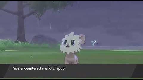 Shiny Sh... oh Lillipup 323 Encounters | Pokémon Sword Isle of Armor