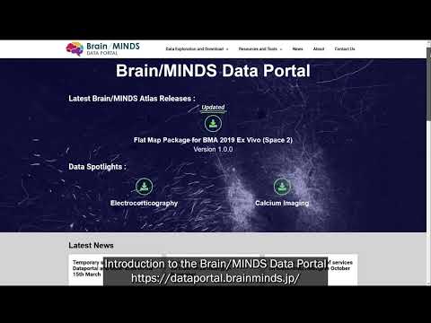 Brain/MINDS Data Portal Overview