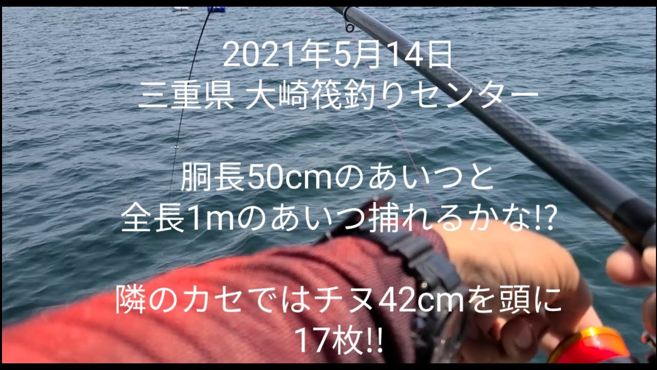 21年5月14日 三重県 大崎筏釣りセンター 胴長50cmのあいつと全長1mのあいつ捕れるな 隣のカセではチヌ42cmを頭に17枚 鮎釣りはありません Youtube 21年5月14日 三重県 大崎筏釣りセンター 胴長50cmのあいつと全長1mのあいつ捕れるな 隣のカセではチヌ42cmを頭に17枚 鮎釣りはありません Youtube