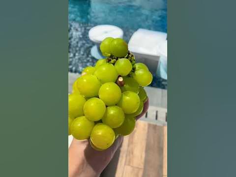 Китайский виноград в Малайзии #еда #куалалумпур #малазия #китайскаяеда ...