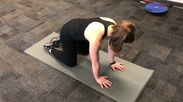 Pushup Plus (Quadruped Position)