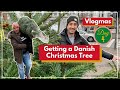 Getting a Danish Christmas Tree (our first time in Denmark)