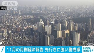 11月の月例経済報告　感染拡大で先行きに強い警戒感(2020年11月25日)