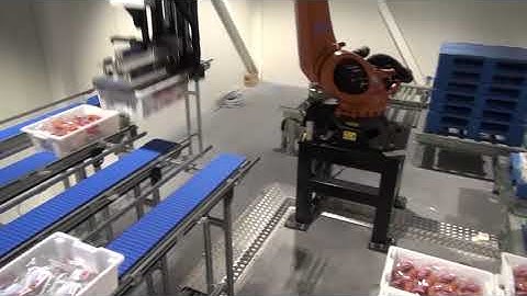 Robot palletizer - KUKA - Meat