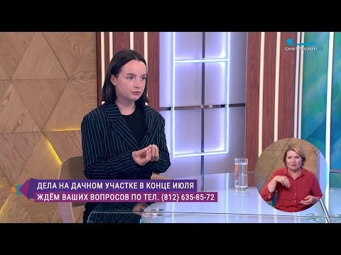 Июльские дела на даче. Консультация садовода