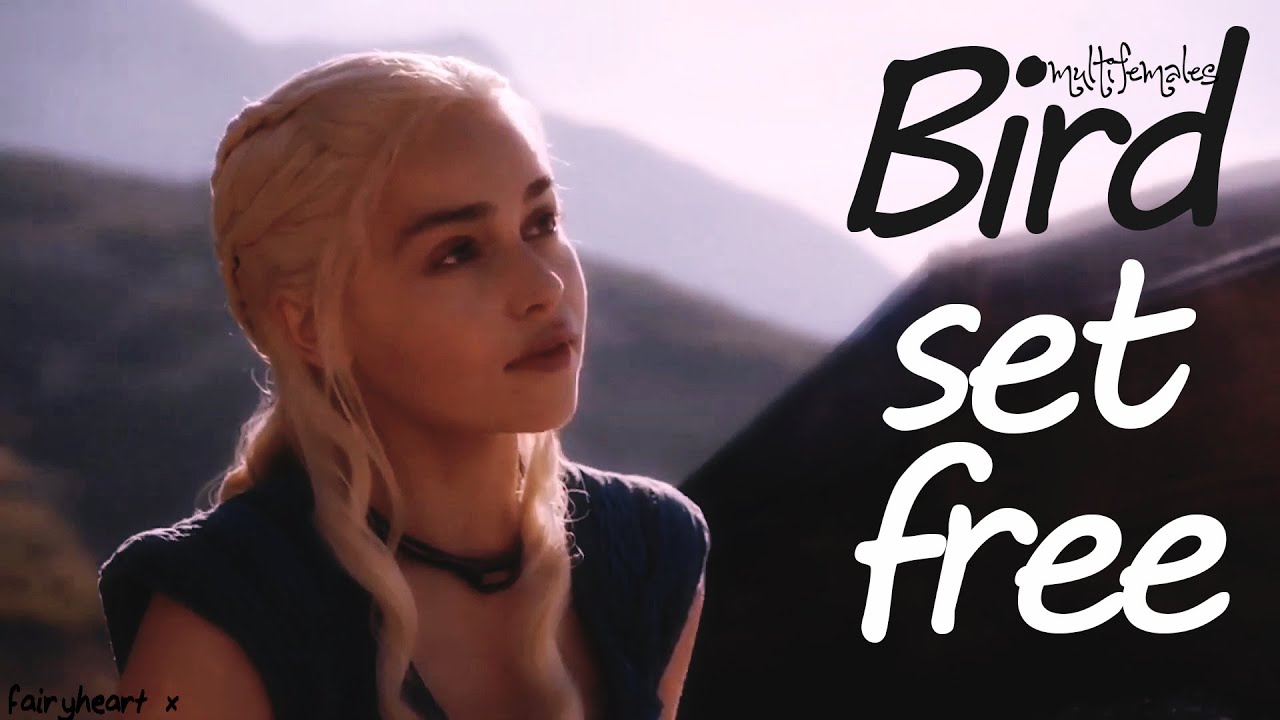 multifemales | bird set free [collab]