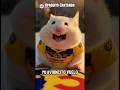 Opaquito el hamster cantando en su avión #humor #comedy #comedia #hamsters #memes #pets #avion