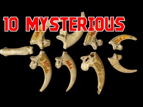 10 Mysterious Discoveries Of Pre Human Art