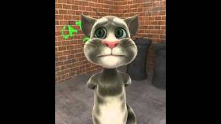 Talking Tom follow @Mr_Grimshaw !