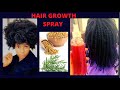 AYURVEDIC | FENUGREEK Seed &amp; ROSEMARY HAIRSPRAY for extreme hair growth | Natural Hair Tutorial