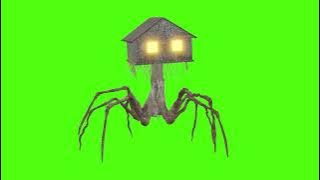 House head green screen