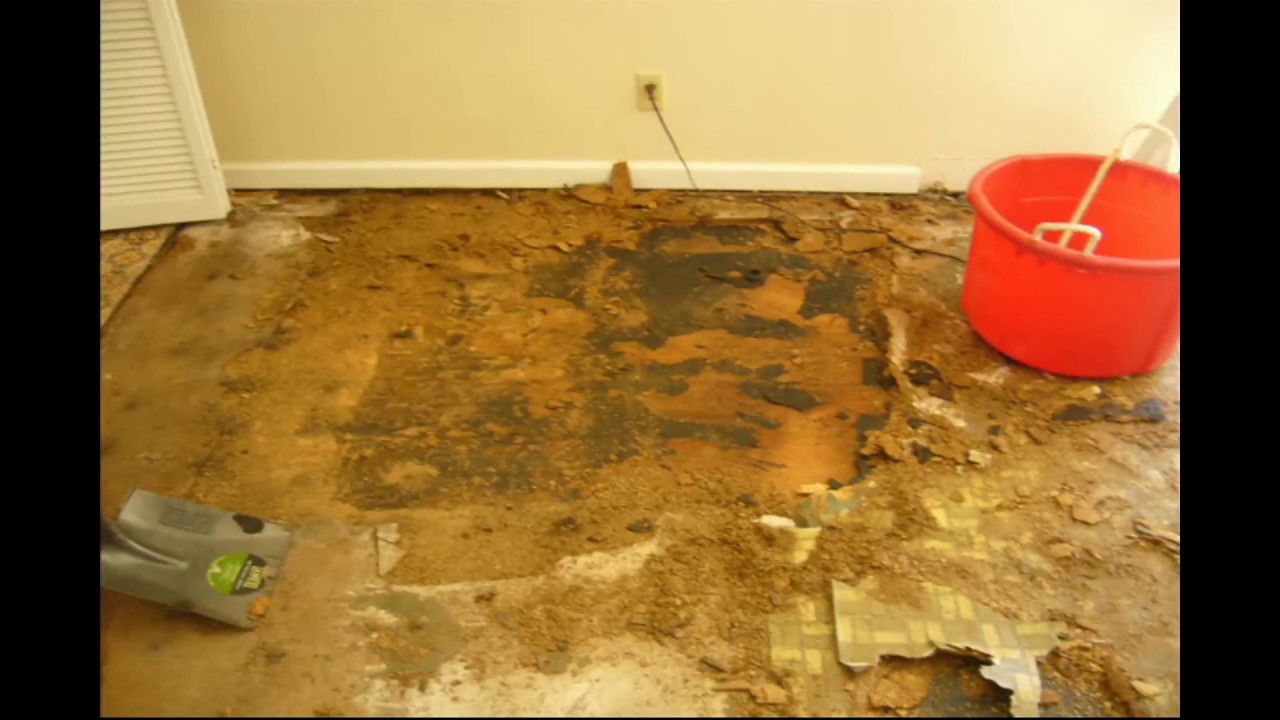 Water Damaged Particle Board Floors