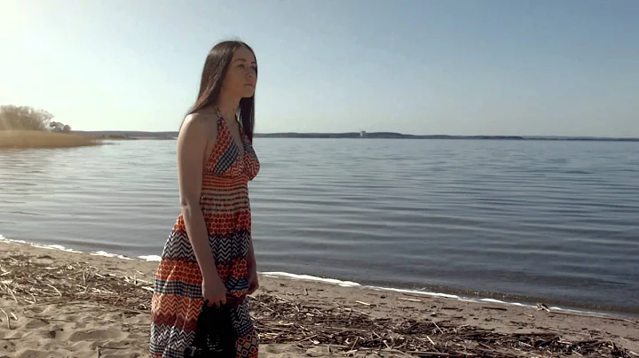 Skelley's Dream -  Out of the light ft. Michelle K...
