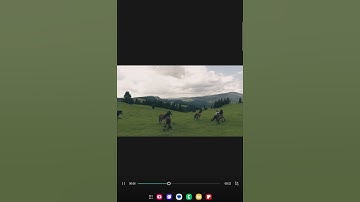✨️من يعرف اسم القارئ سهله ✨️